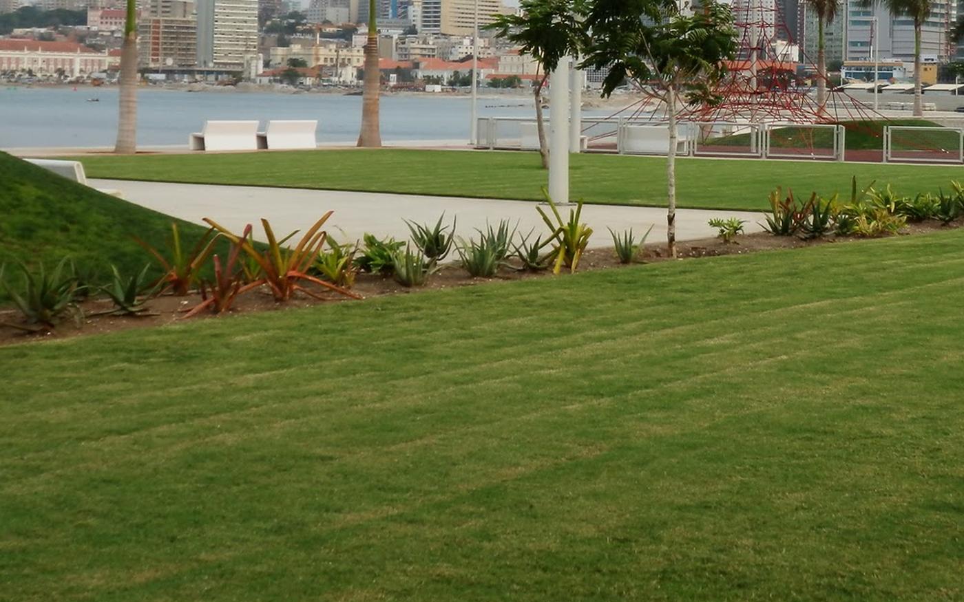 Canteiros de suculentas, caminho pedonal e relvado num espaço exterior em Luanda
